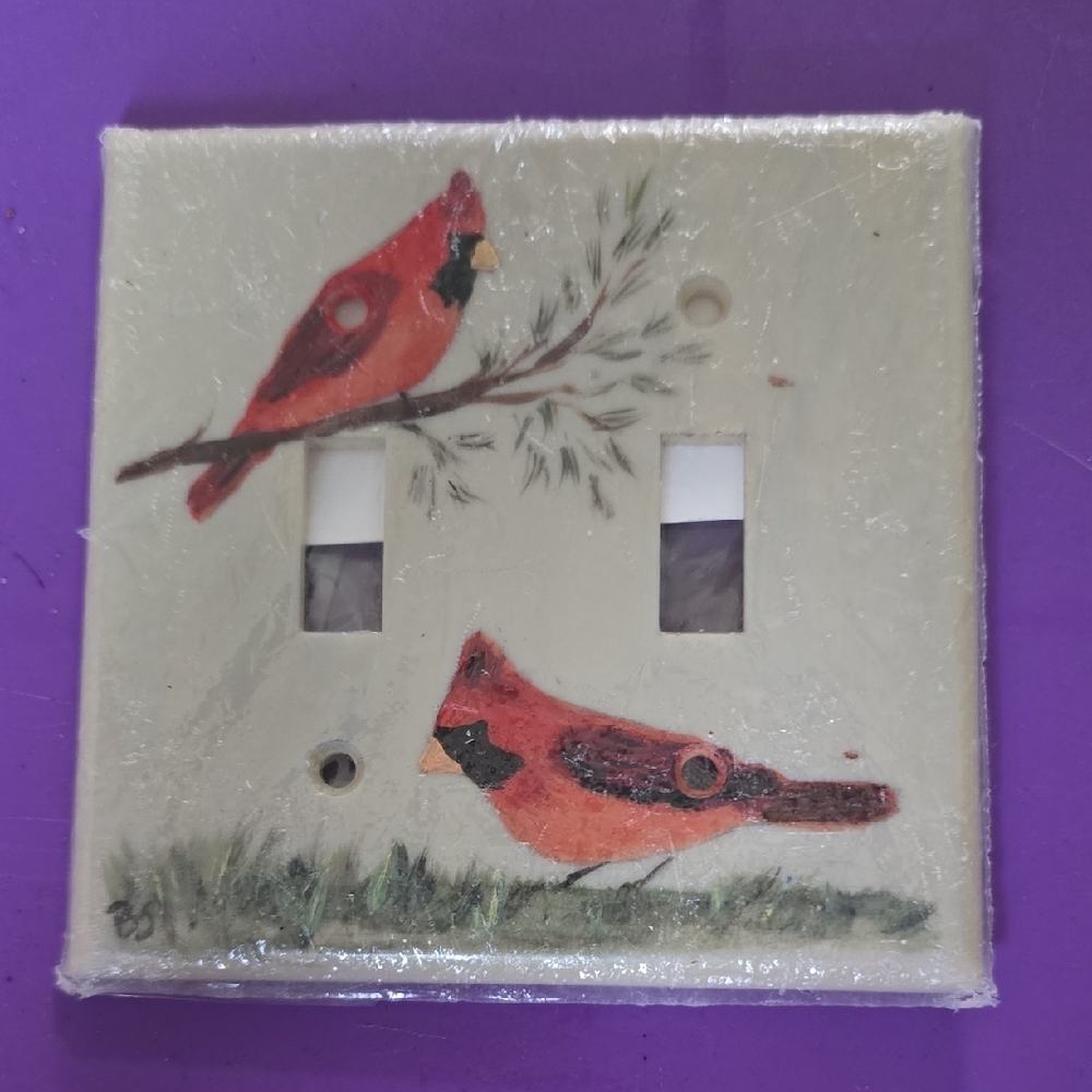 Cardinal Double Light Switch Cover